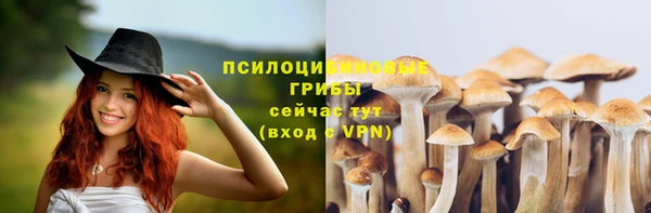 мяу мяу мука Осташков