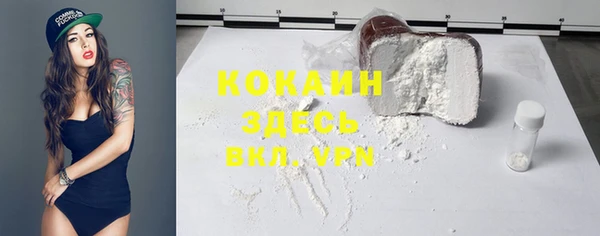 герыч Пересвет