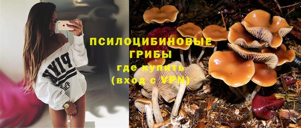 герыч Пересвет