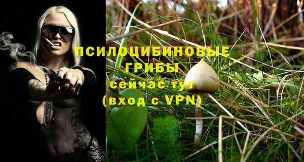 герыч Пересвет