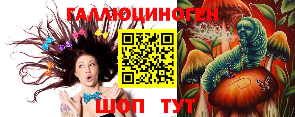 Галлюциногенные грибы Psilocybe Стрежевой