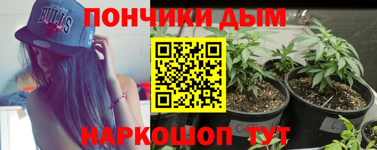 Бошки марихуана Amnesia Стрежевой